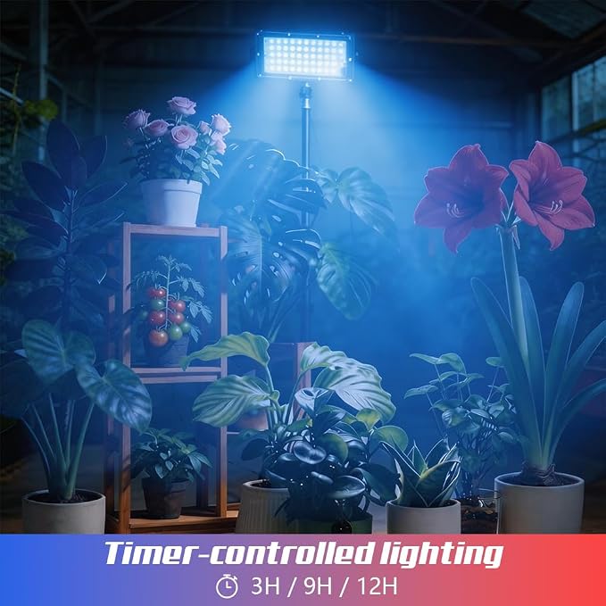 Grow Light