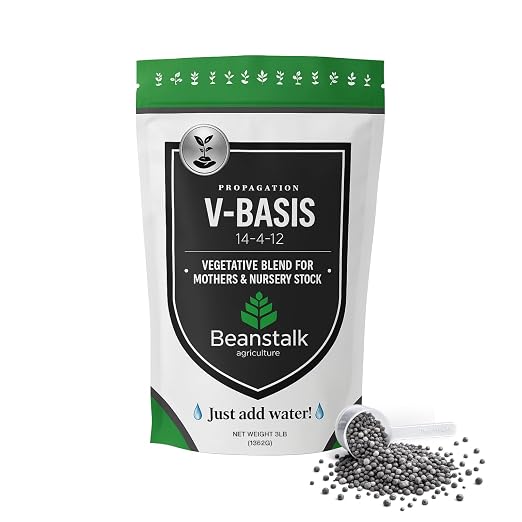 V-Basis