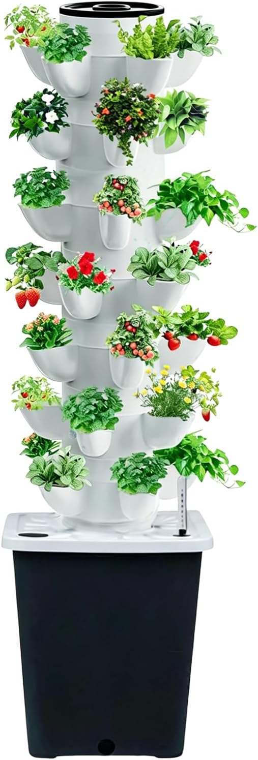 Gray-35plants