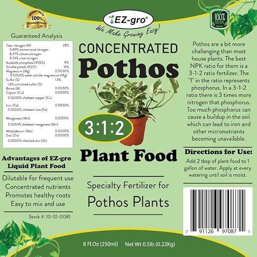 Pothos