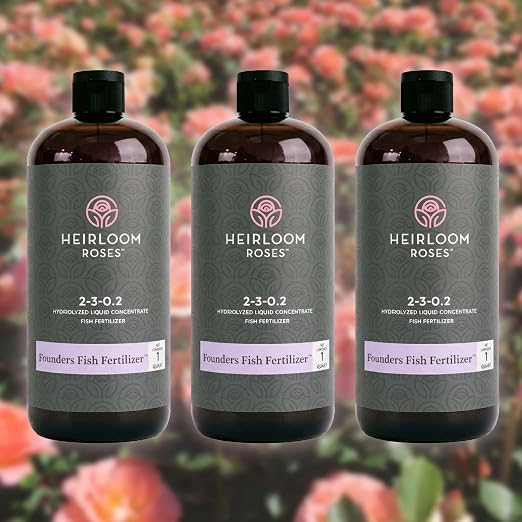 __DEFAULT__