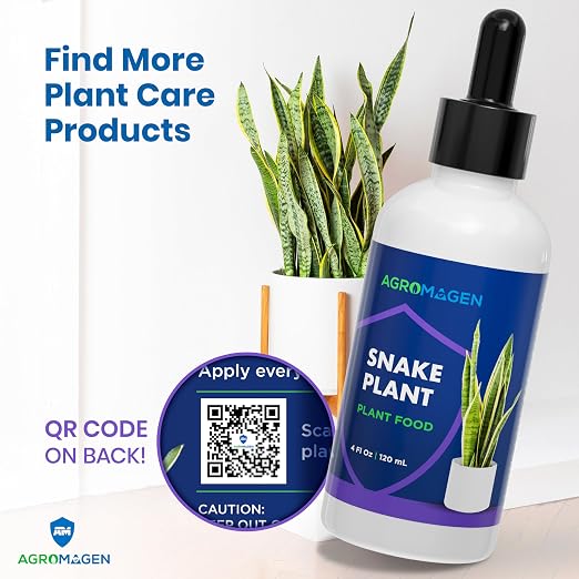 Snake Plant