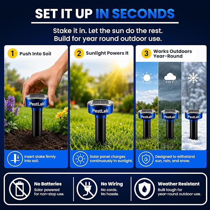 __DEFAULT__