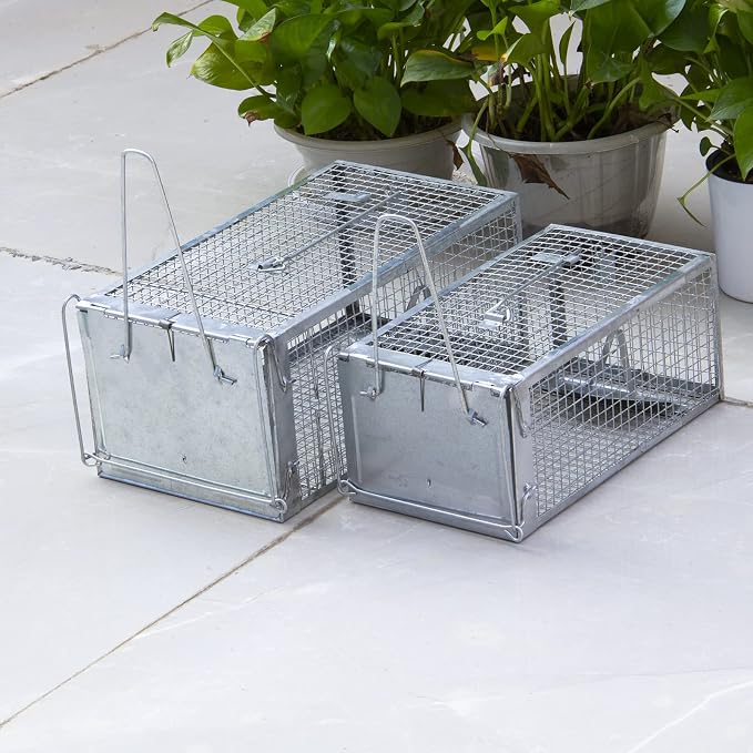 Small(Set of 2)