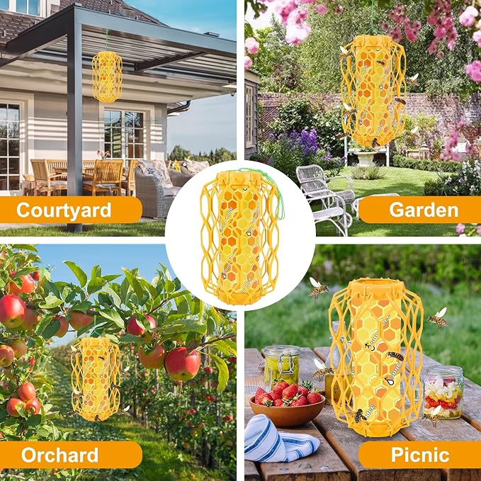 Orange-4 Pack
