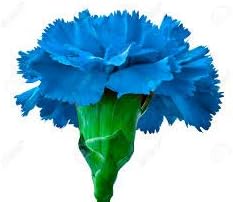 Blue 1