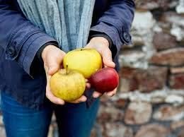 Red yellow 2