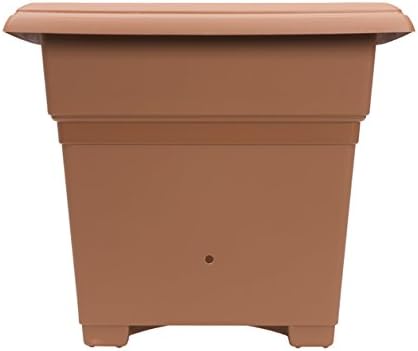 Terracotta
