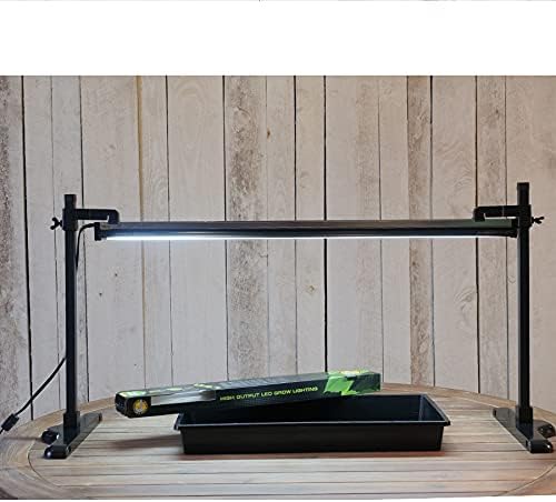 LED Light and Stand Kit