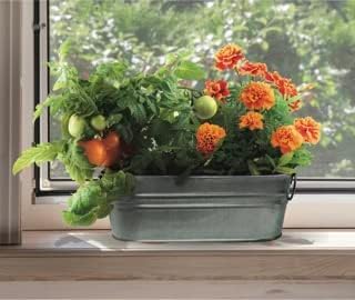 My First Garden