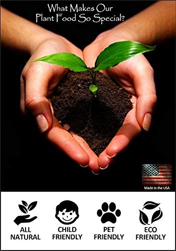Orchid + Air Plant + Bromeliad Fertilizer