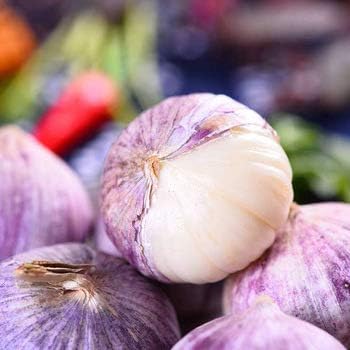 Purple 2