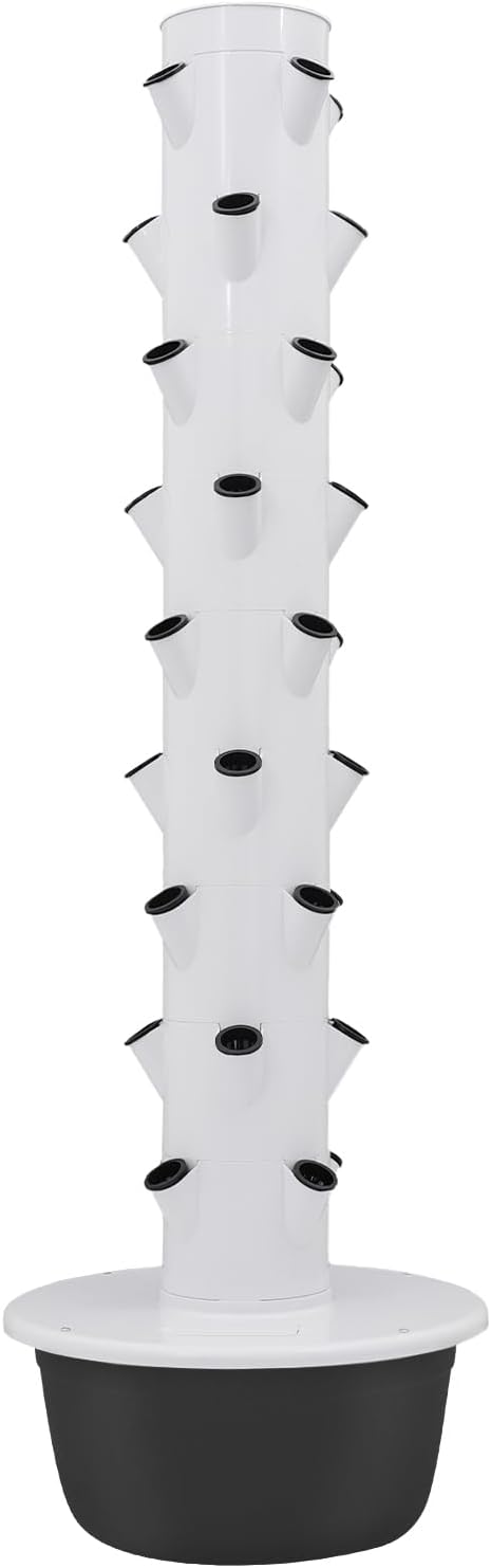 White + Balck