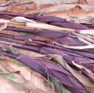 Red Stalker Corn