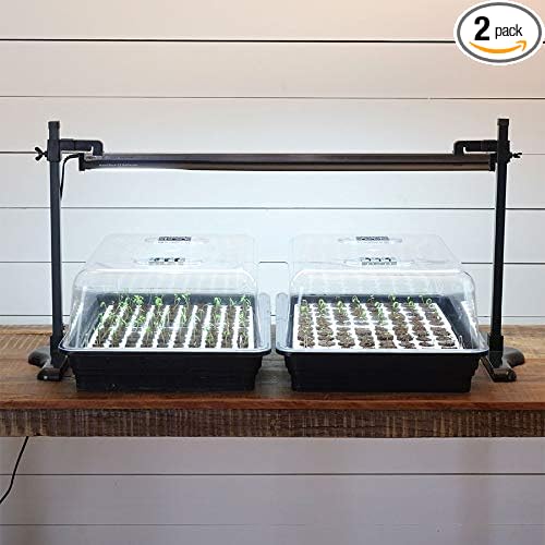 LED Light and Stand Kit