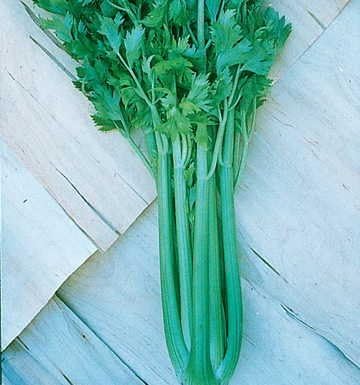 Ultimate Vegetable Soup