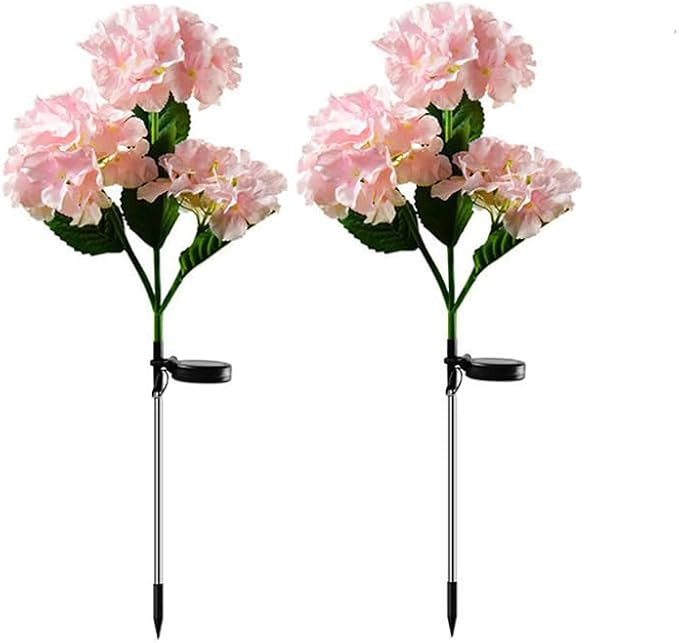 Pink-2 Pack