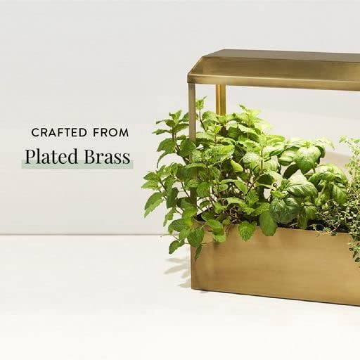 Brass