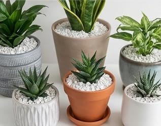 Regular Perlite