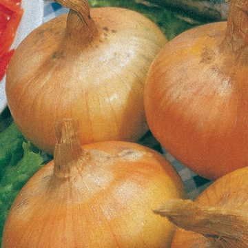 Ultimate Vegetable Soup