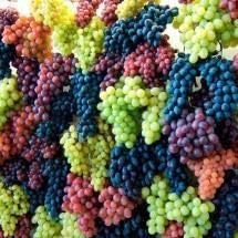 Mixed colour