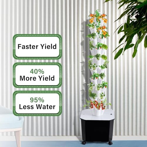 10-layer