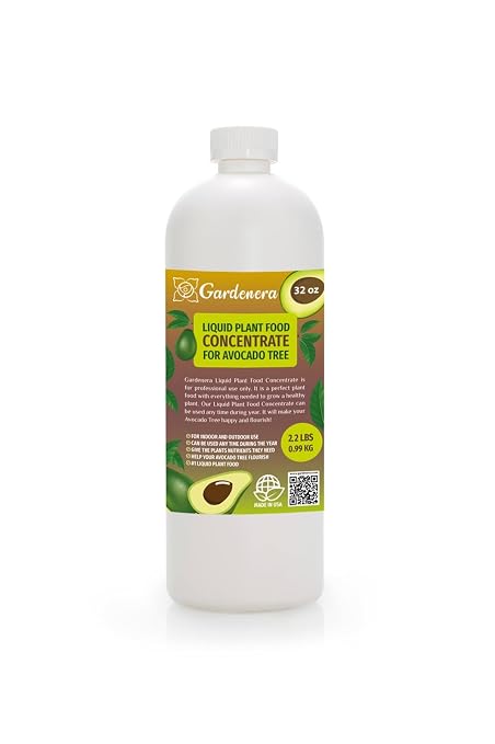 AVOCADO