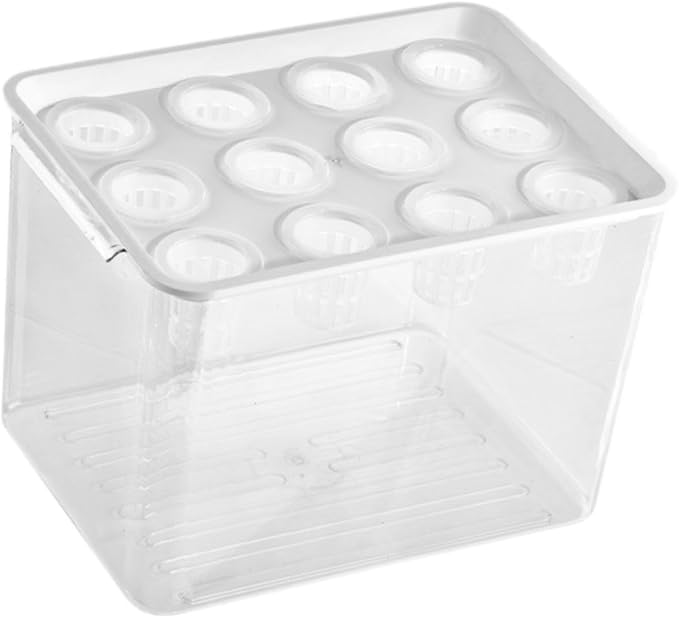 White Lid