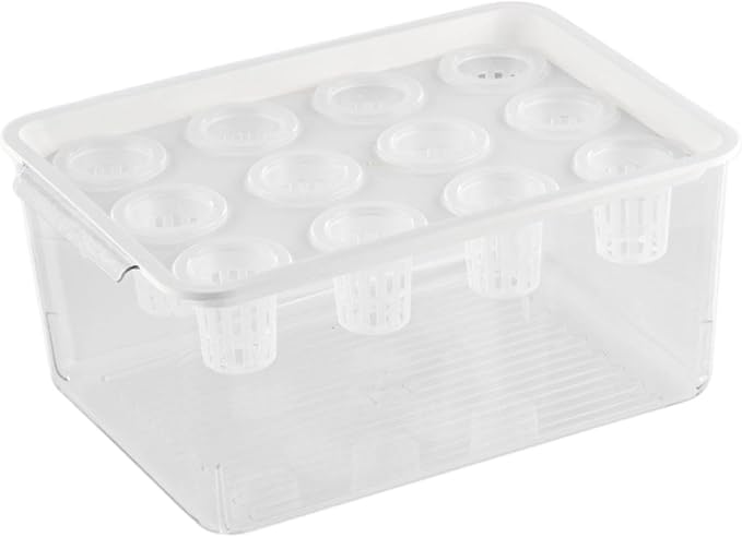 White Lid
