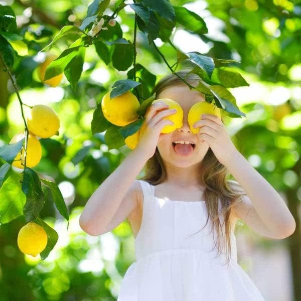 LEMON TREE