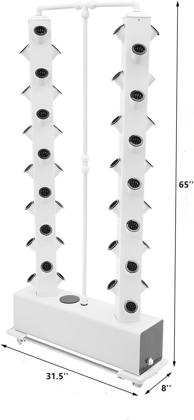 White, 56 Holes