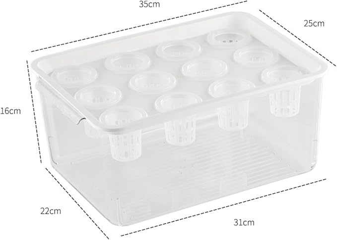 White Lid