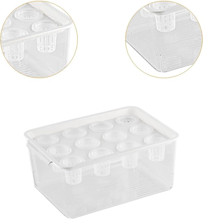 White Lid