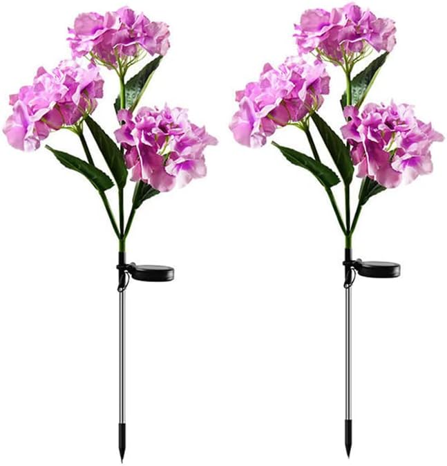 Purple-2 Pack