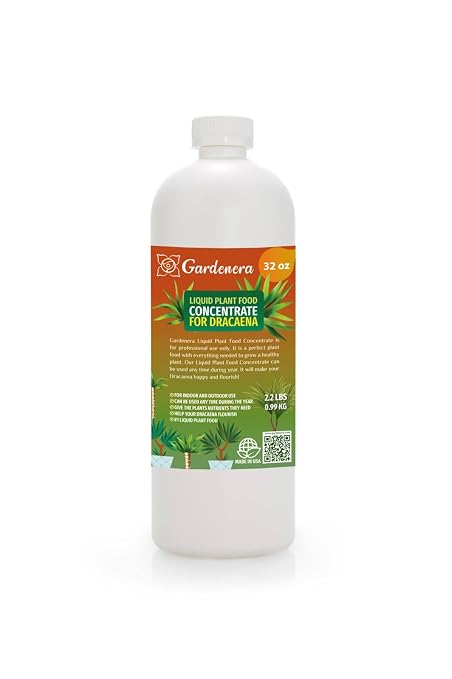 DRACAENA