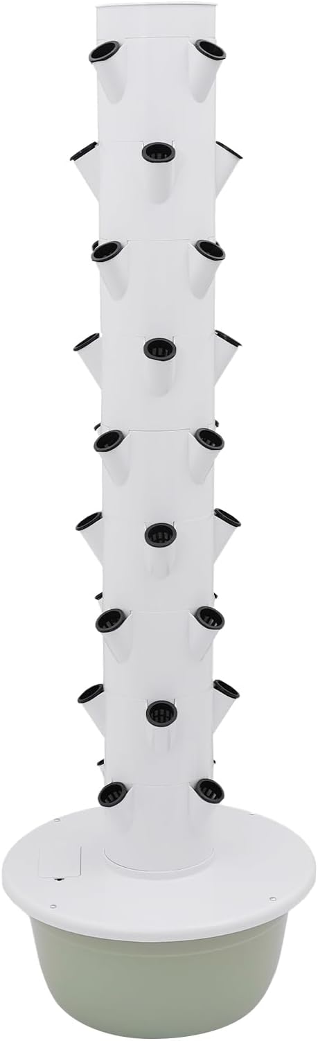 White + Green