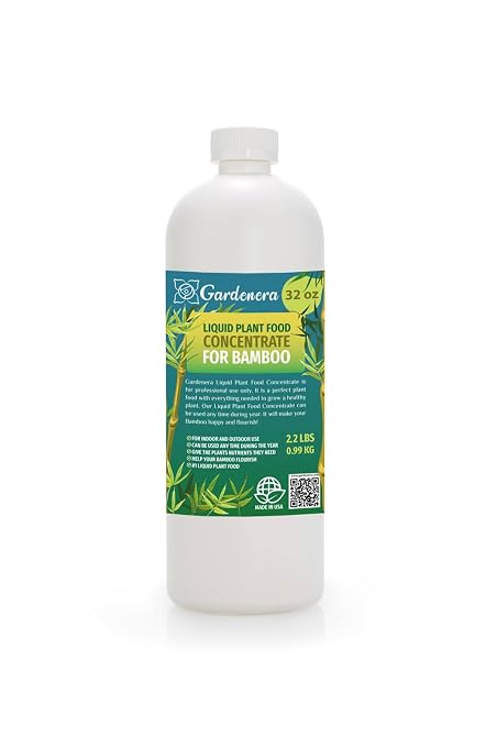 BAMBOO