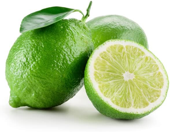 LIME TREE