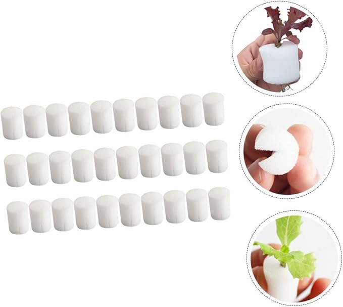 Whitex2pcs