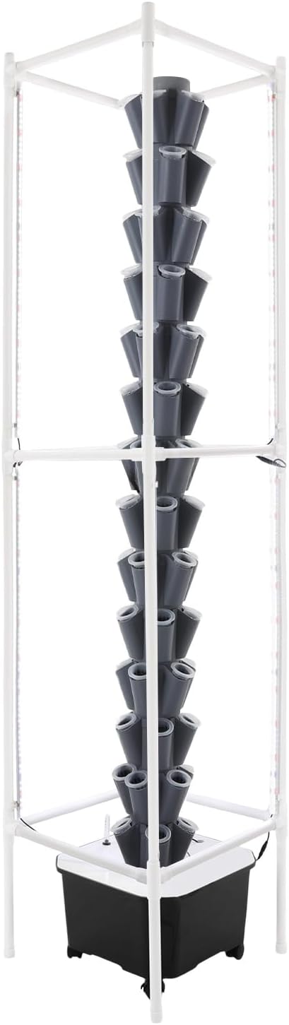 Gray, 70 Holes