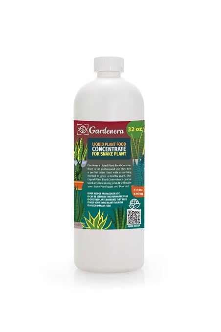 SNAKE PLANT