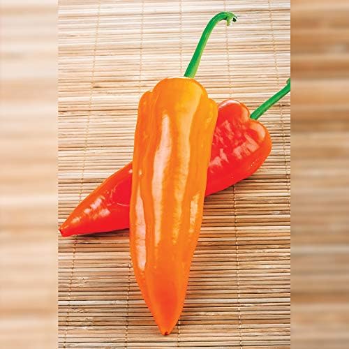 Organic F1 Oranos