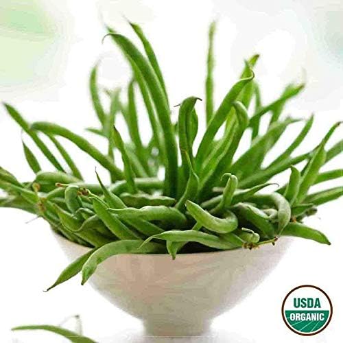 Bean Blue Lake Bush 274 Organic Seed Bundle - 8 Pack
