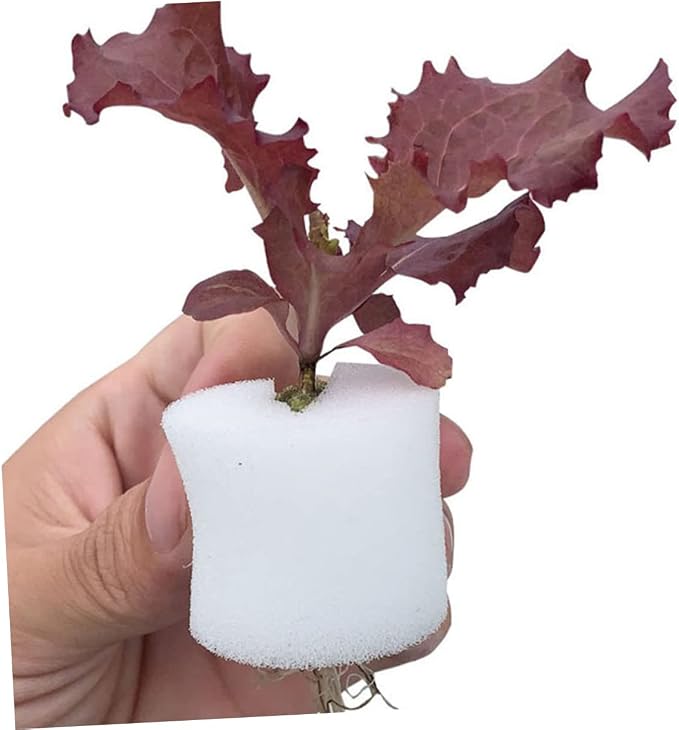Whitex2pcs