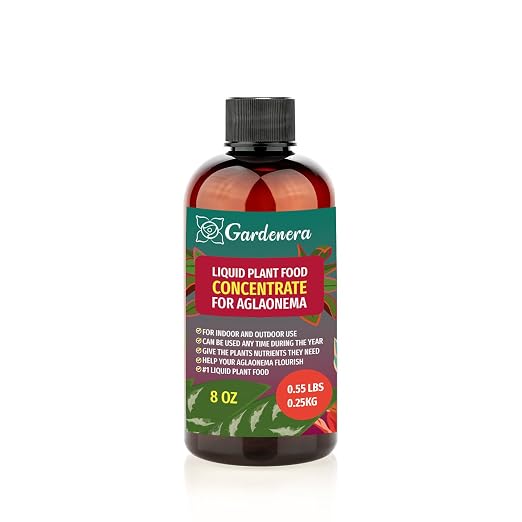 AGLAONEMA