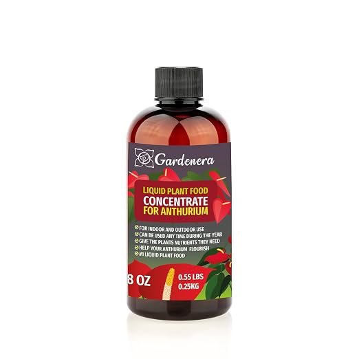 ANTHURIUM