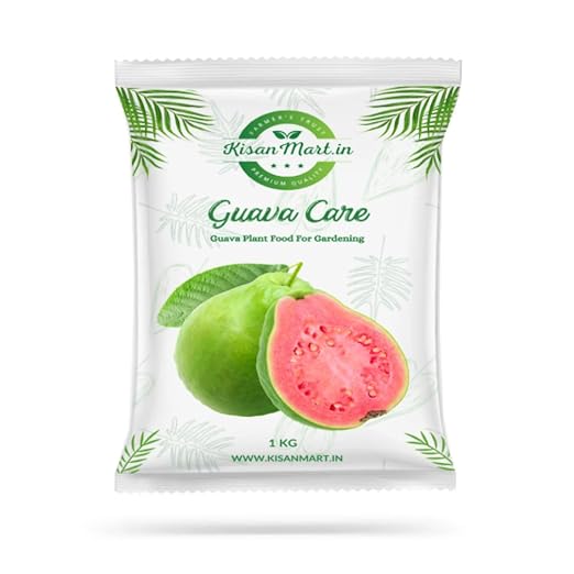 Guava