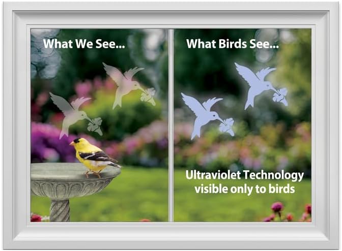Hummingbird