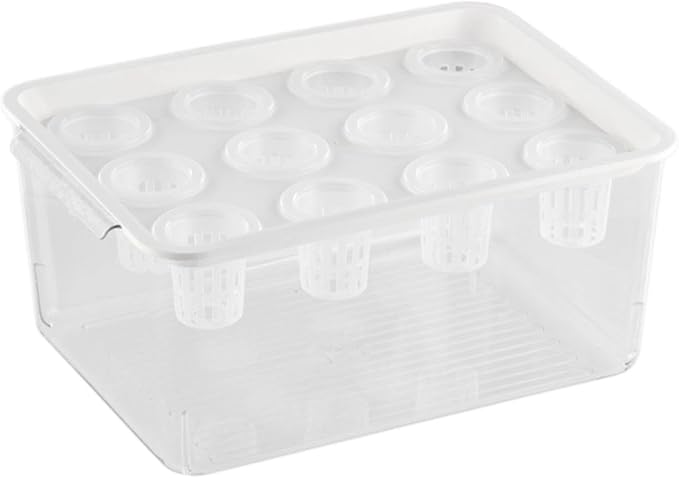 White Lid