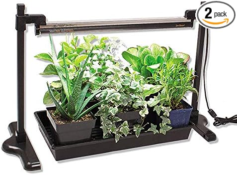 LED Light and Stand Kit